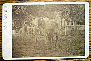 Off To Town - Cabinet Photo Of A Man With Horse & Cart