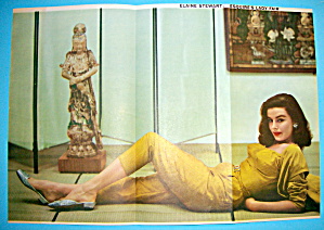 Esquire (Lady Fair) Pin Up Girl 1954 (Elaine Stewart)