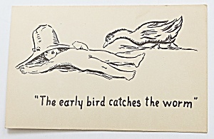 Early Bird Catches The Worm Postcard