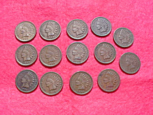 Indian Head Penny Collection 1886-99