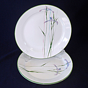 Corelle Shadow Iris Dinner Plates Set Of Four