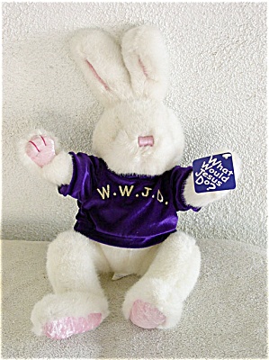 Plush Bunny Rabbit: What Would Jesus Do?