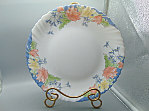 Luminarc Arcopal Florine Dinner Plate(S)