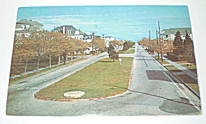 Vintage Photocard Central Avenue Boulevard Wildwood Nj