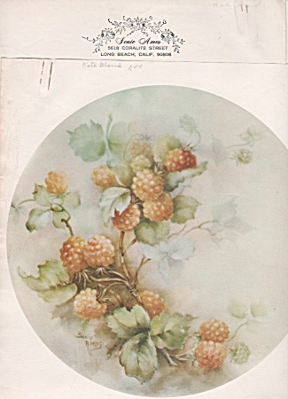 Vintage - Sonie Ames - Berries Study - 1969 - Oop