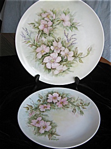 Hutschenreuther Hand Painted Porcelain Plates