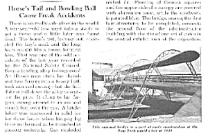 1939 Ny Worlds Fair Mag. Article