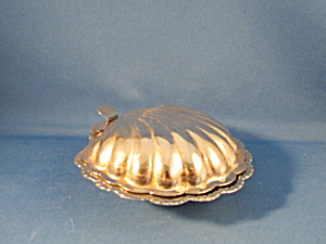 Silver Clam Case Candy Dish