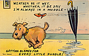 Weather It Be Wet, Wether It Be Dry Postcard P25656